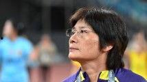 三级国产黄,揭秘我国影视产业中的独特现象